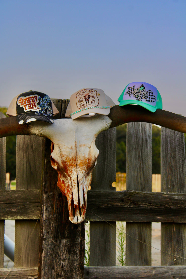 The Saddle Club